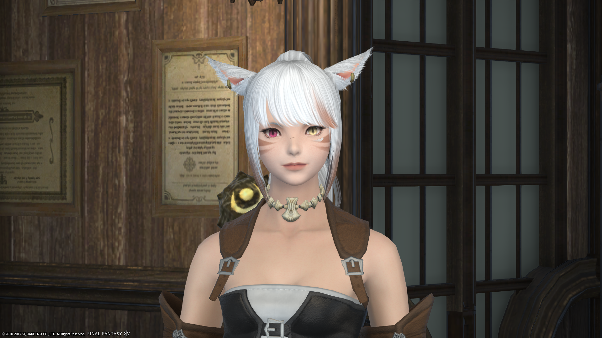 Young Skyde Panthera facing camera in Final Fantasy XIV, fresh-faced adventurer screenshot
