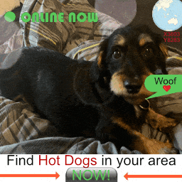 Dansh - Digital Adventures